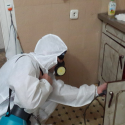 Дезинфекция от муравьев в квартире в Изобильном
