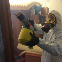 Уничтожение клопов в квартире. Изобильный